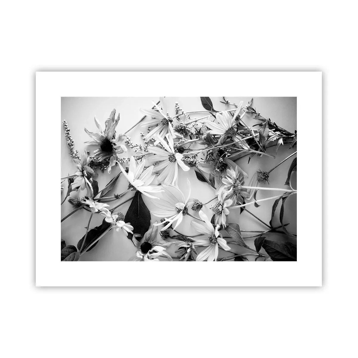 Pôster - Não é um ramo de flores - 40x30 cm