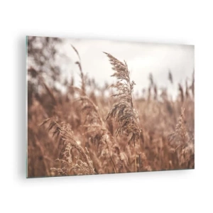Quadro em vidro - Gramíneas secas ao vento na luz outonal da natureza - 70x50cm - O outono já chegou ao campo - Decoração de parede moderna para a sala de estar e quarto ARTTOR
