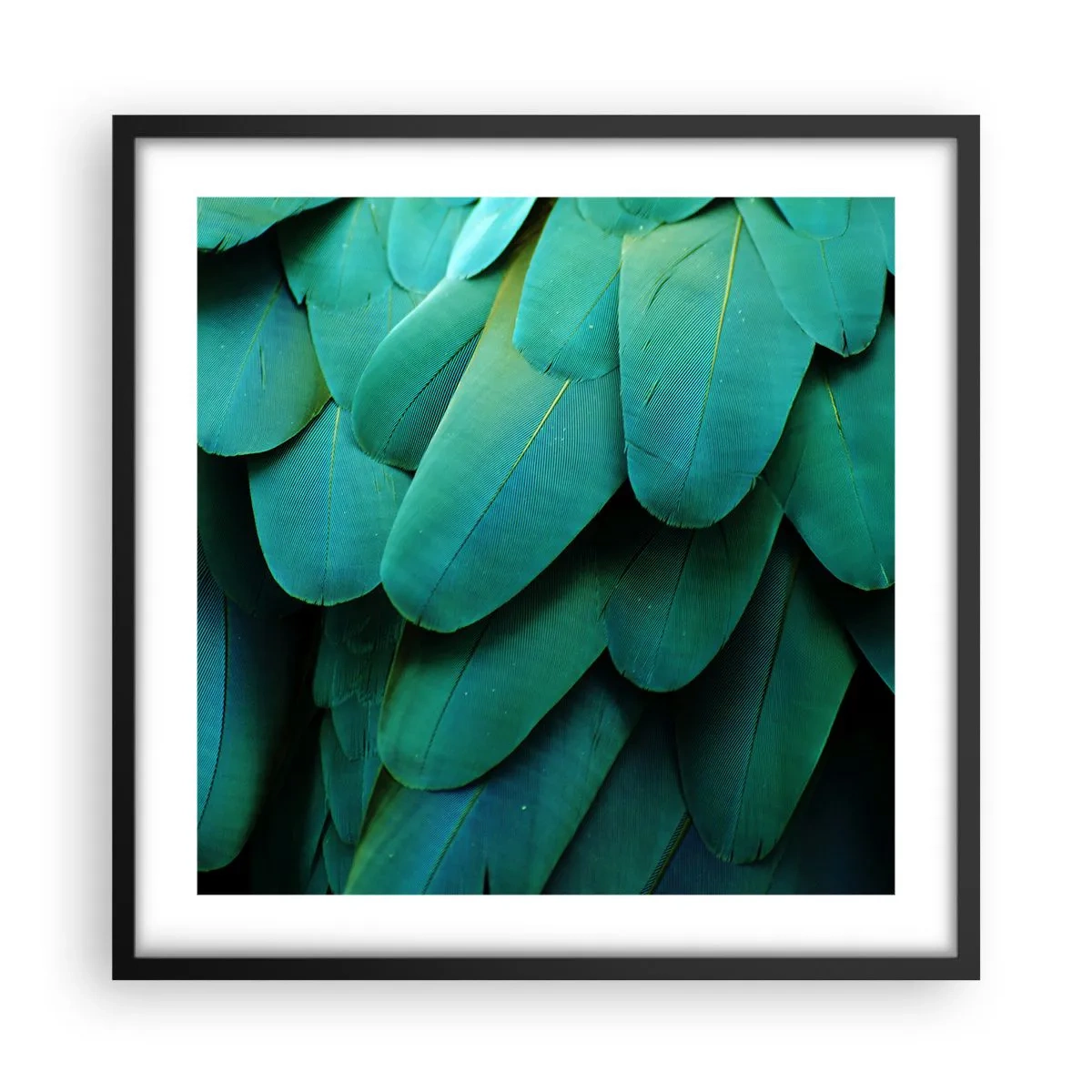 Pôster com moldura preta - Precisão de papagaio - 50x50 cm