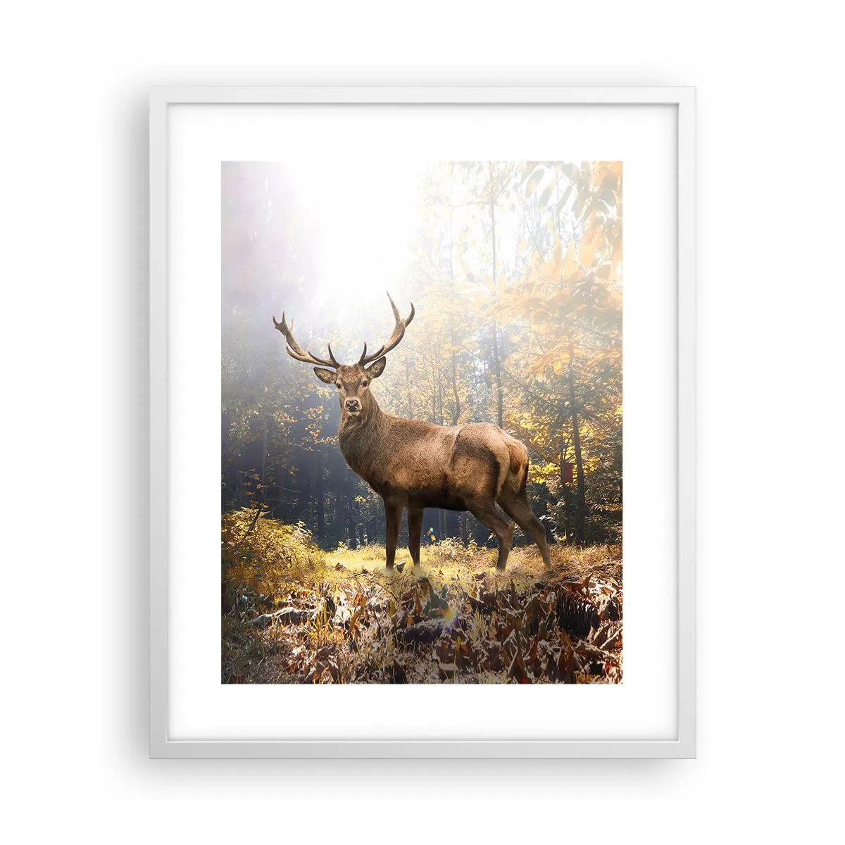 Pôster em moldura branca - Em plena majestade - 40x50 cm