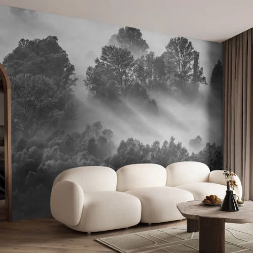 Papel de Parede Premium Sand - Levantar-se do sono - Paisagem, Floresta, Névoa - 100x70 cm