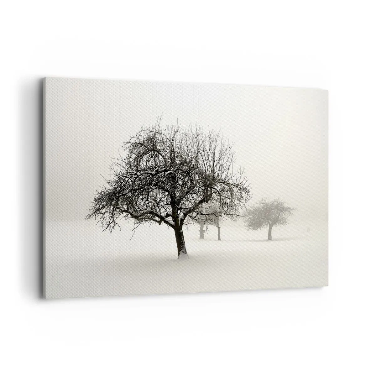 Quadro em tela - Sono de inverno - 120x80 cm