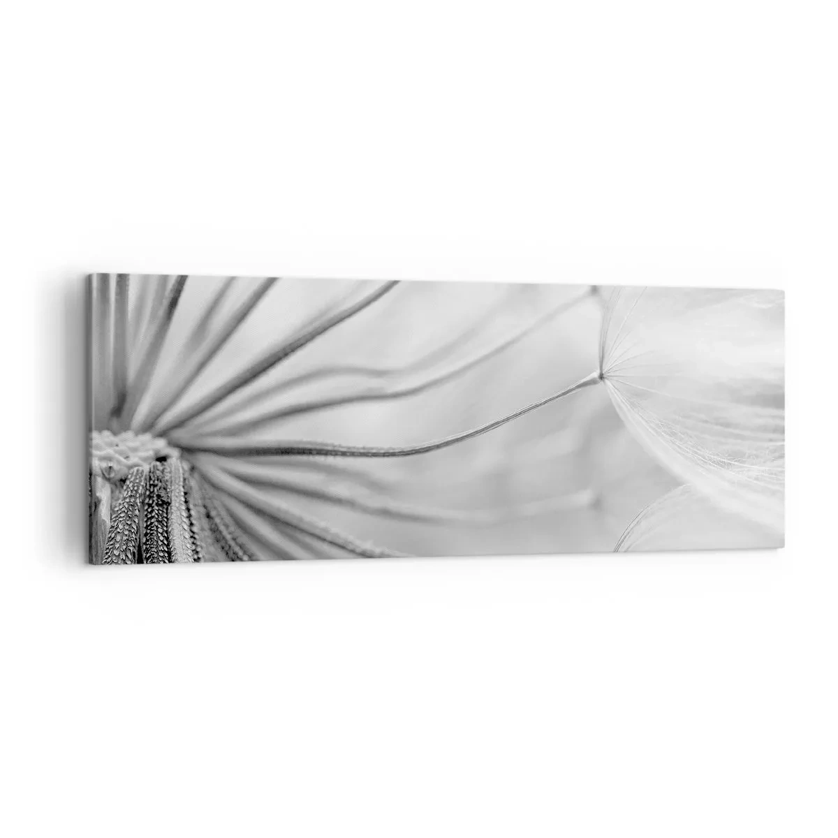 Quadro em tela - Dentes de leão, pipas - 140x50 cm