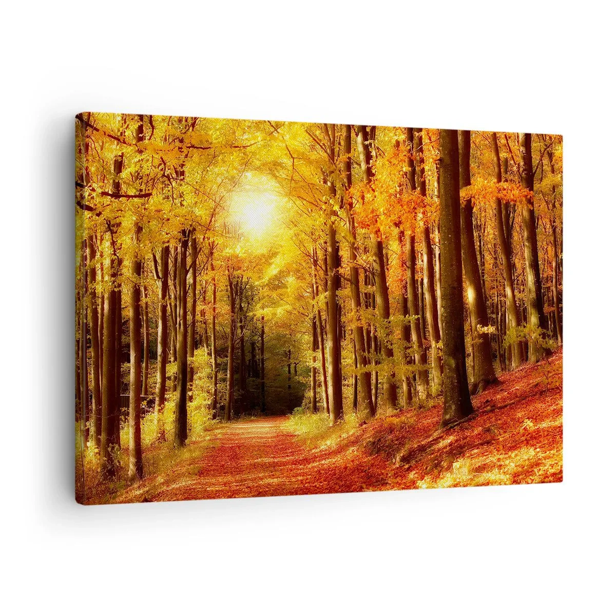 Quadro em tela - Floresta de outono com raios de sol brilhando através das árvores - 70x50cm - Outono dourado na estrada da floresta - Decoração de parede moderna para a sala de estar e quarto ARTTOR