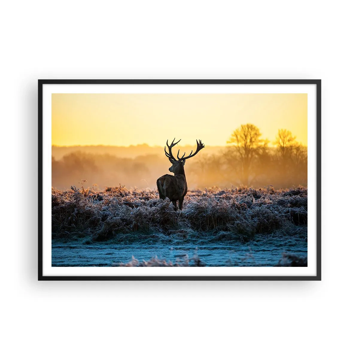 Pôster com moldura preta - Coroado em sua terra - 100x70 cm