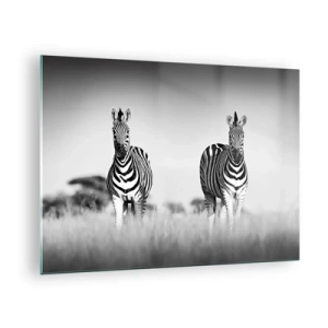 Quadro em vidro - Um par de zebras em um fundo de grama preta e branca, retratadas em seu habitat natural. - 70x50cm - De fato, o mundo é a preto e branco - Decoração de parede moderna para a sala de estar e quarto ARTTOR