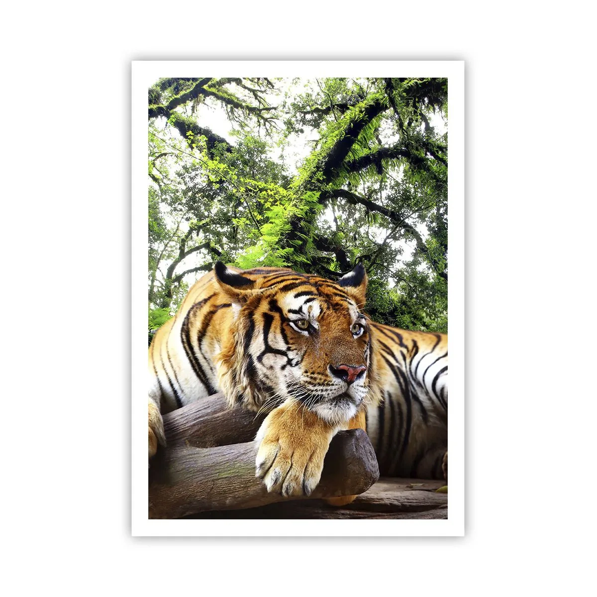 Pôster - Com os melhores cumprimentos - 70x100 cm