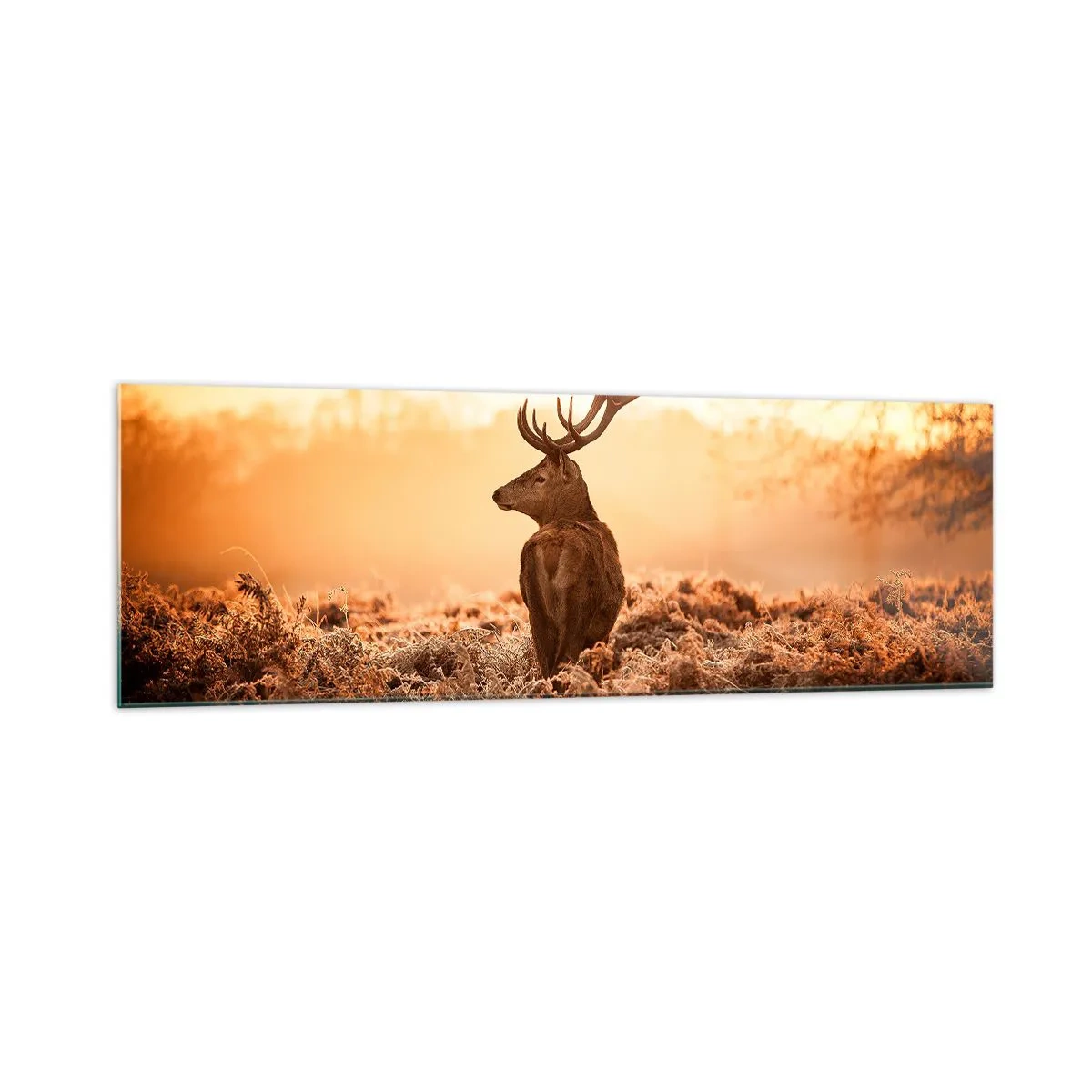 Quadro em vidro - O senhor da propriedade - 160x50 cm