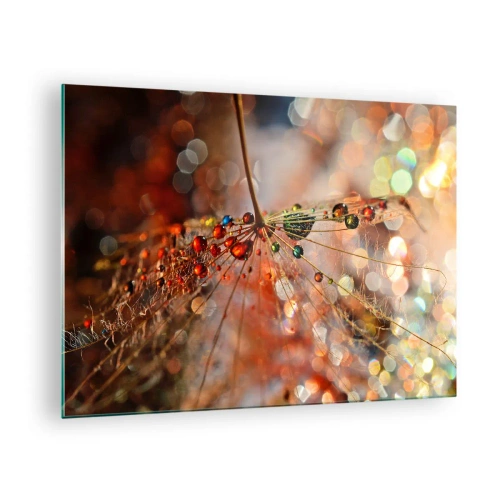 Quadro em vidro - Gotas de água em uma delicada teia de aranha em luz bokeh - 70x50cm - Enroscado numa teia de aranha - Decoração de parede moderna para a sala de estar e quarto ARTTOR