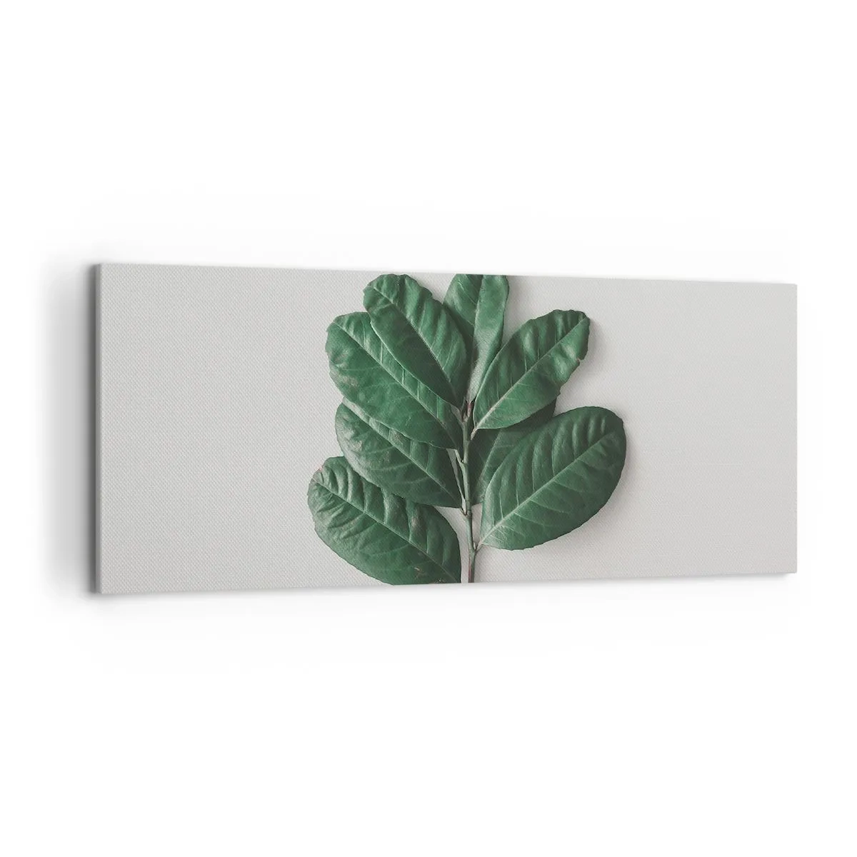 Quadro em tela - Desenho da própria natureza - 120x50 cm