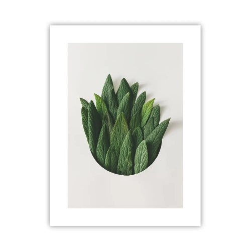 Pôster - Curiosidade indomável - 30x40 cm