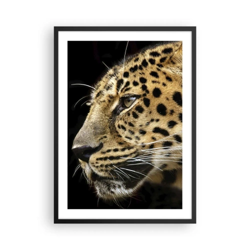 Pôster com moldura preta - Perfil de um leopardo em um fundo escuro - 50x70cm - Calmo, focado, pronto - Decoração de parede moderna para a sala de estar e quarto ARTTOR