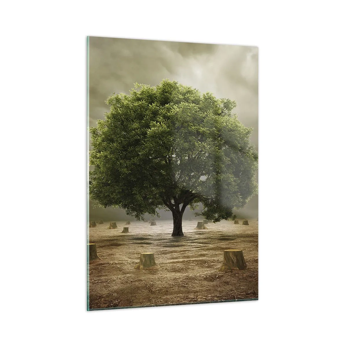 Quadro em vidro - Toda a esperança - 50x70 cm