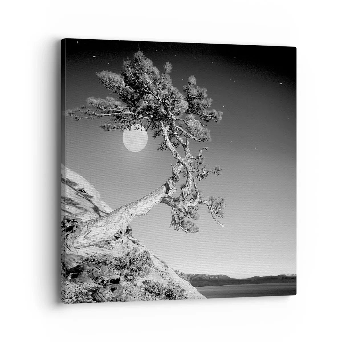 Quadro em tela - Guerreira vitoriosa - 40x40 cm