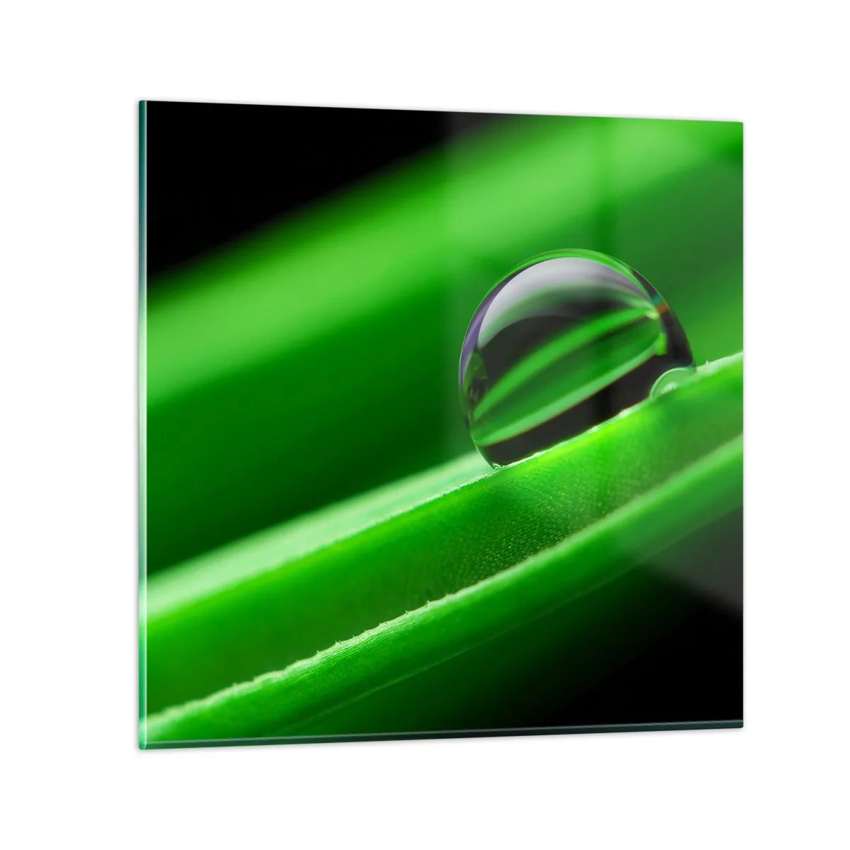 Quadro em vidro - A vida de perto - 40x40 cm