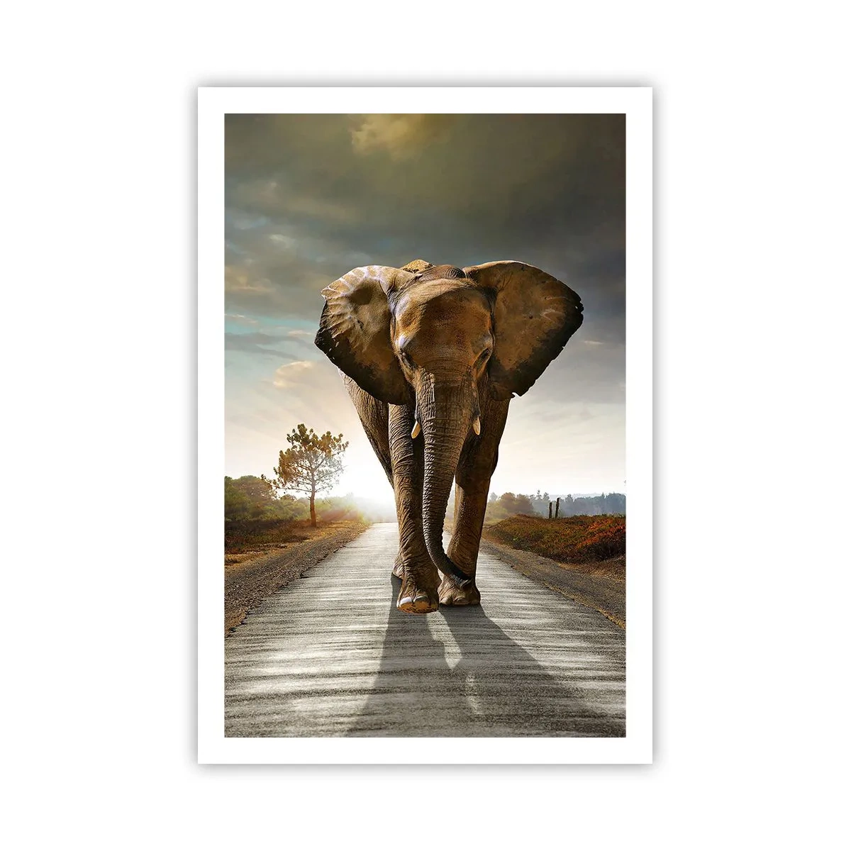 Pôster - Não faz parte da composição da porcela - 61x91 cm