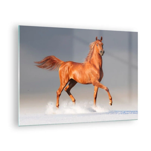 Quadro em vidro - Um cavalo galopando contra um céu brilhante - 70x50cm - Graça Dançante - Decoração de parede moderna para a sala de estar e quarto ARTTOR
