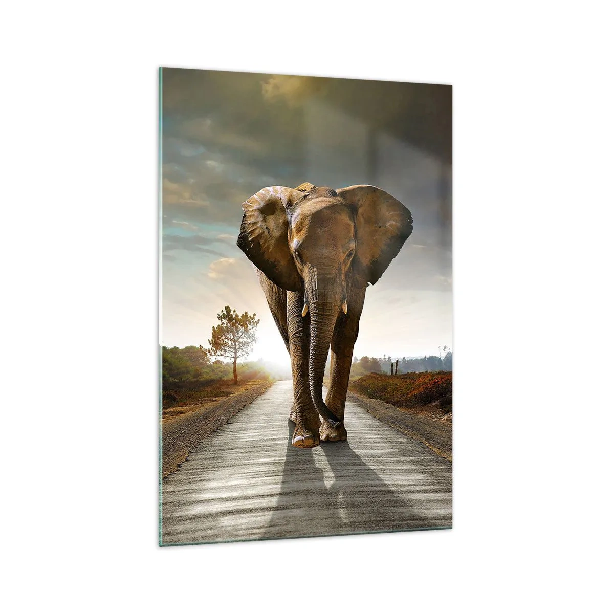Quadro em vidro - Não faz parte da composição da porcela - 70x100 cm