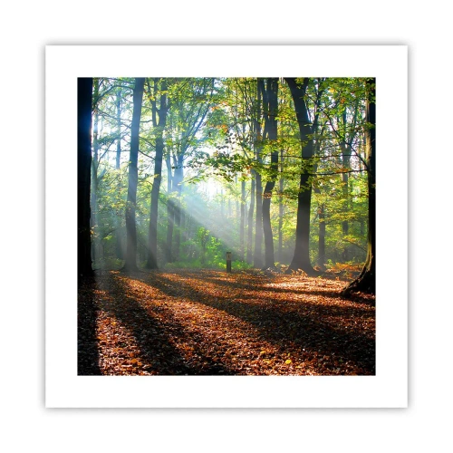 Pôster - Luzes e sombras - 40x40 cm