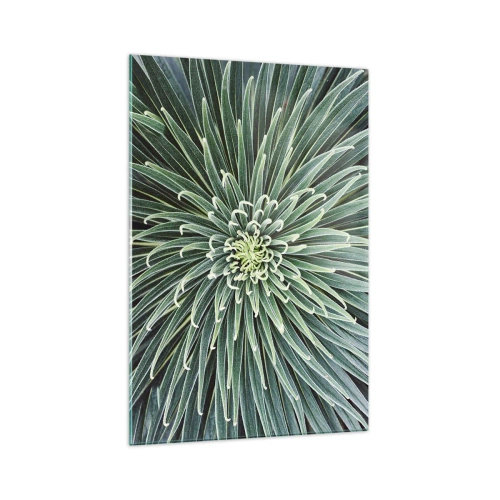 Quadro em vidro - Nasce uma estrela - 70x100 cm