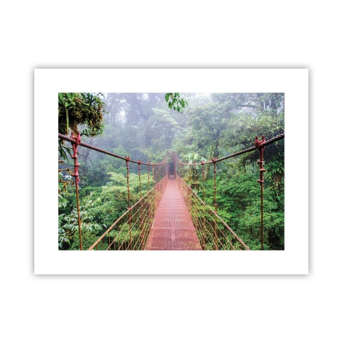 Pôster - Suspenso acima das copas - 40x30 cm