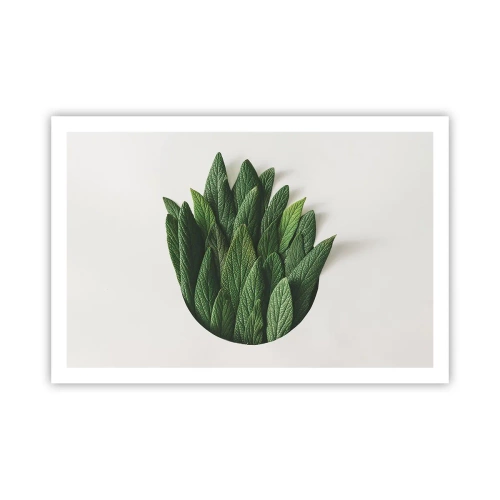 Pôster - Curiosidade indomável - 91x61 cm