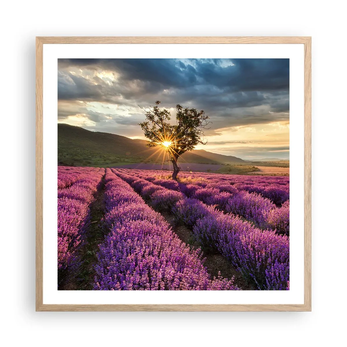 Pôster com moldura de carvalho claro - Aroma lilás - 60x60 cm