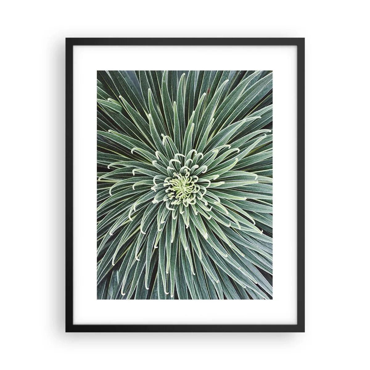 Pôster com moldura preta - Nasce uma estrela - 40x50 cm