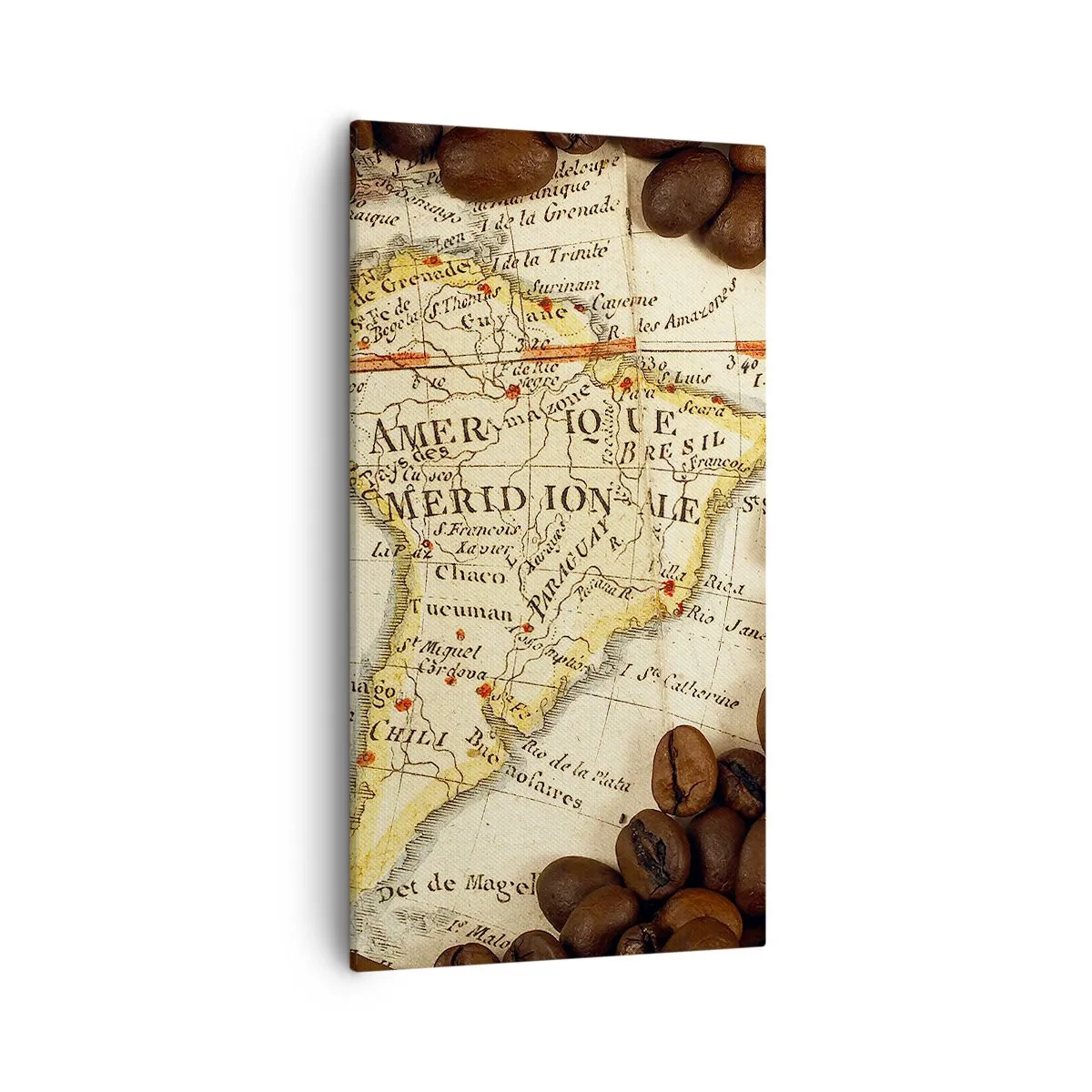 Quadro em tela - De onde vem o melhor café? - 55x100 cm