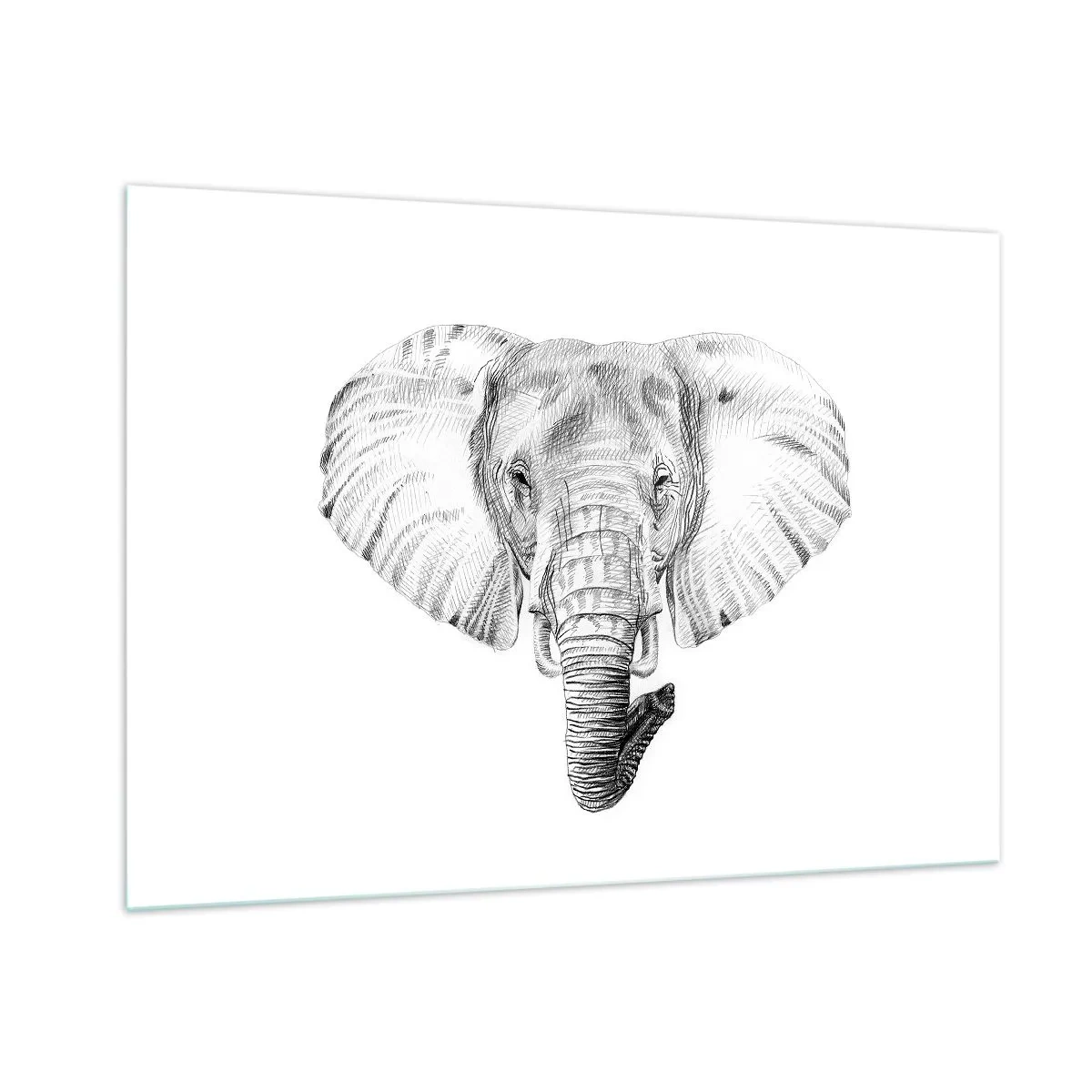 Quadro em vidro - Havia um elefante, grande como um elefante - 100x70 cm