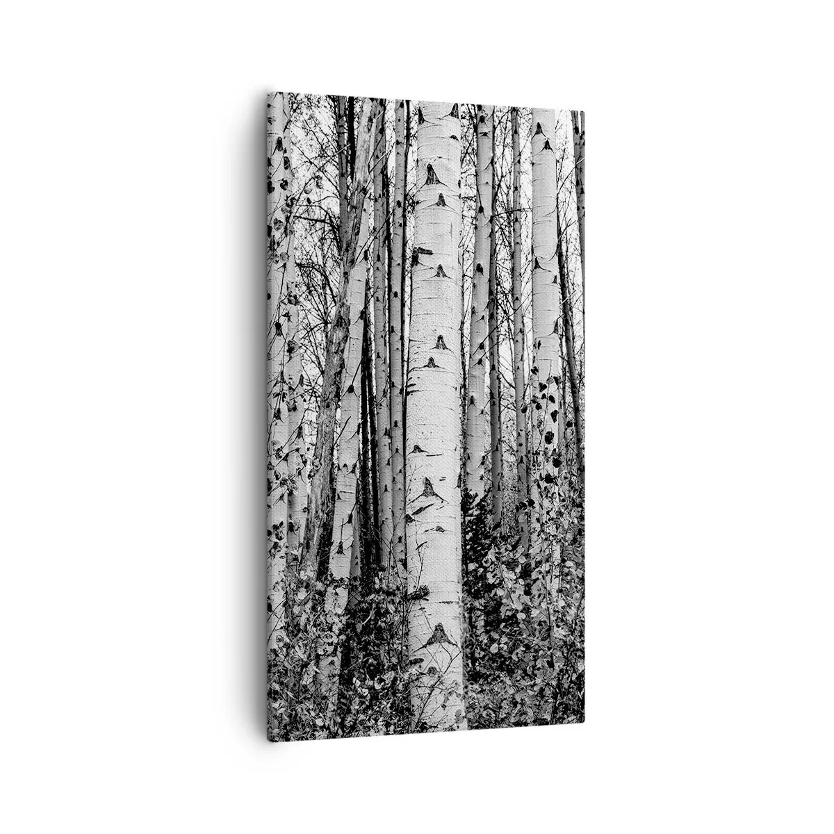 Quadro em tela - Colunata de bétula - 55x100 cm