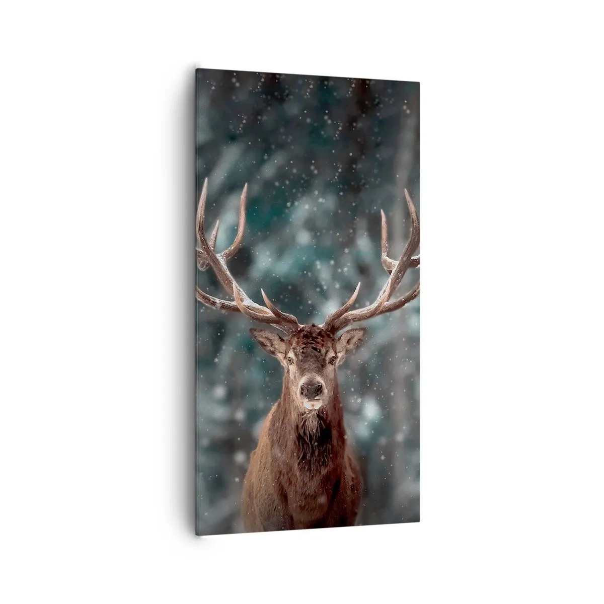 Quadro em tela - O rei coroado da floresta  - 65x120 cm