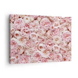 Quadro em tela - Rosas delicadas em tons de rosa por toda a superfície - 70x50cm - Uma cama de rosas - Decoração de parede moderna para a sala de estar e quarto ARTTOR