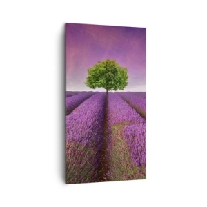 Quadro em tela - Nos campos de lavanda - 45x80 cm
