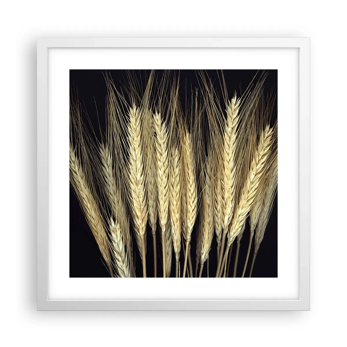 Pôster em moldura branca - Magia rústica - 40x40 cm