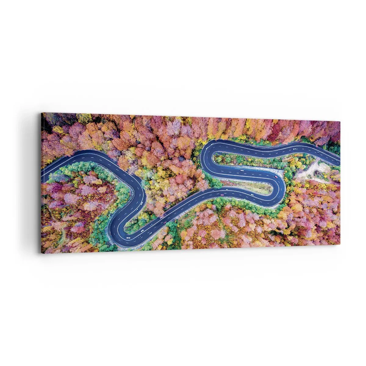 Quadro em tela - Estrada sinuosa pela floresta - 120x50 cm