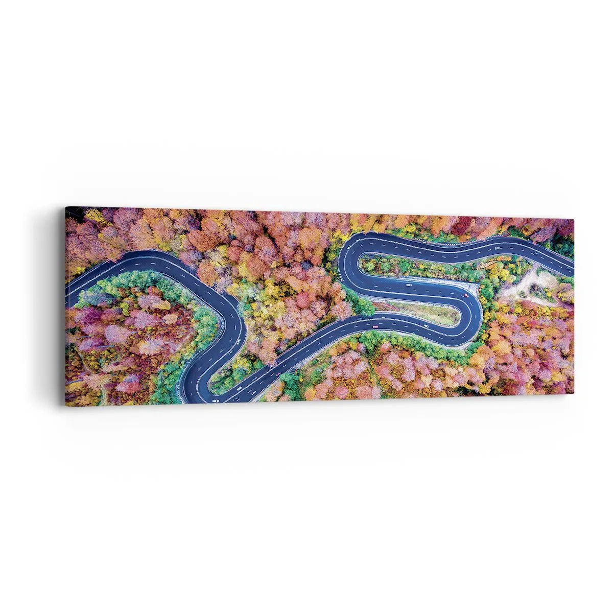 Quadro em tela - Estrada sinuosa pela floresta - 90x30 cm