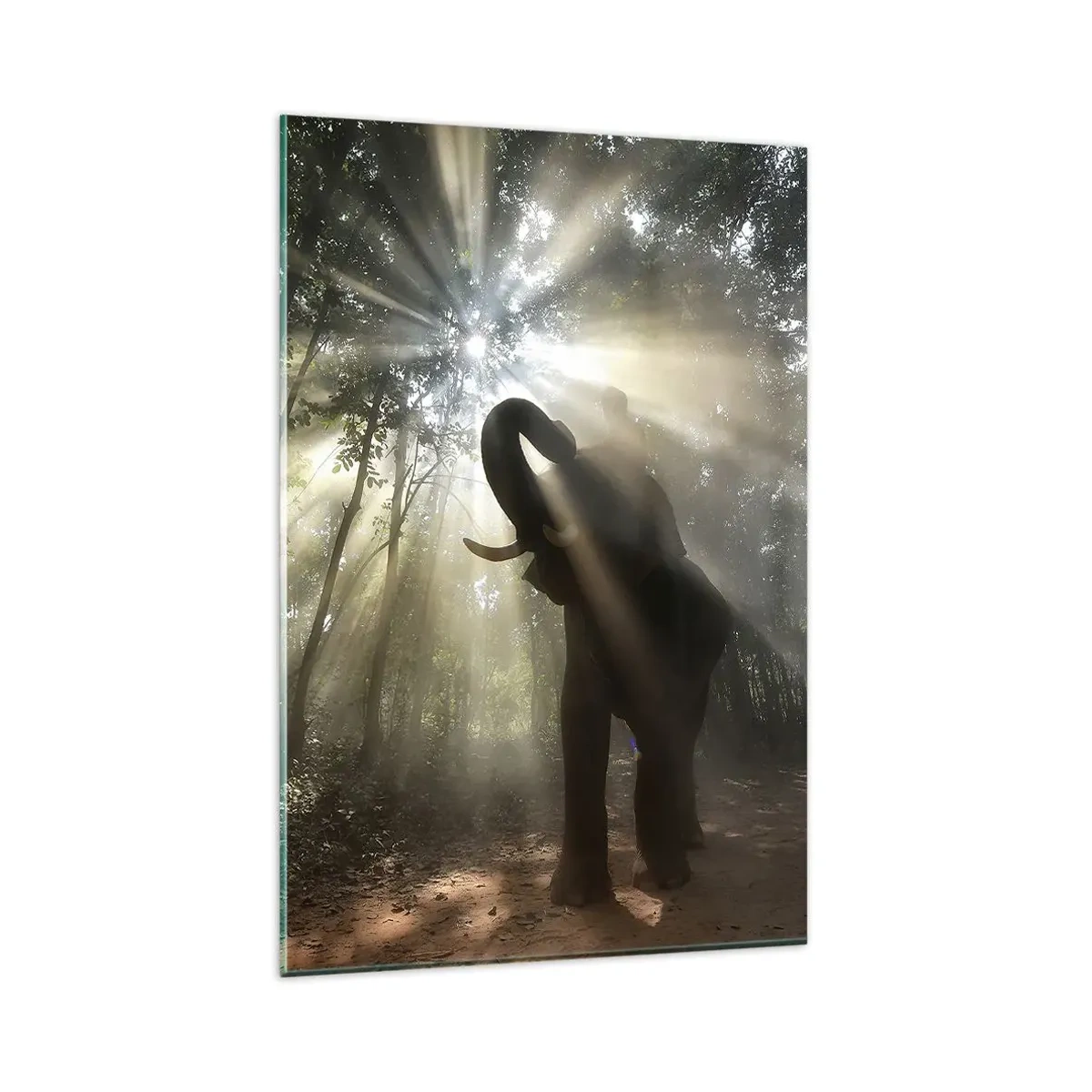 Quadro em vidro - Sob a estrela da sorte - 80x120 cm