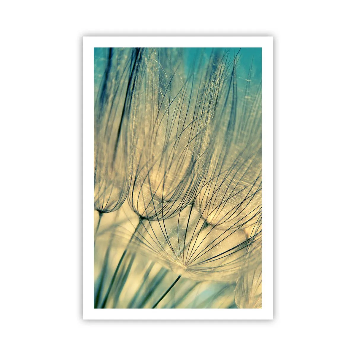 Pôster - À espera do vento - 61x91 cm