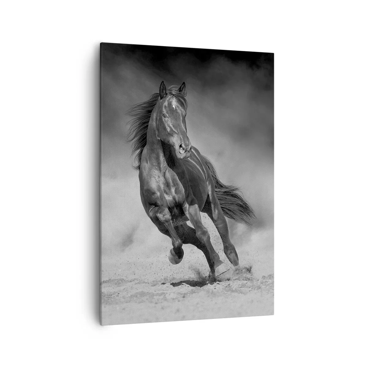 Quadro em tela - Digno do próprio emir - 70x100 cm
