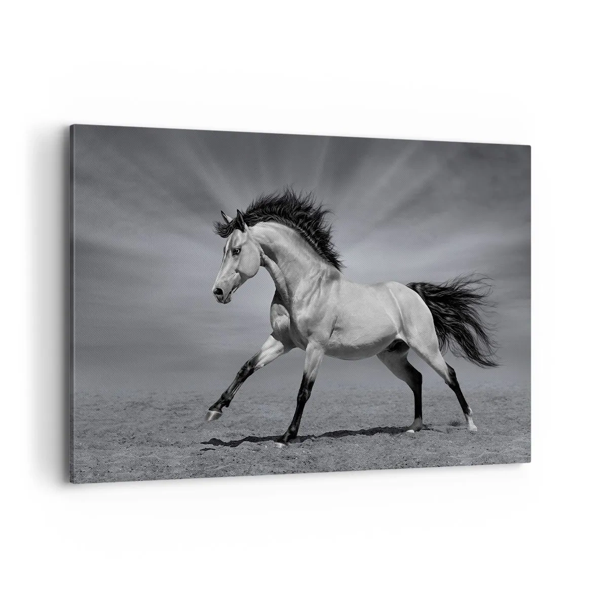Quadro em tela - Nascido para encantar - 120x80 cm