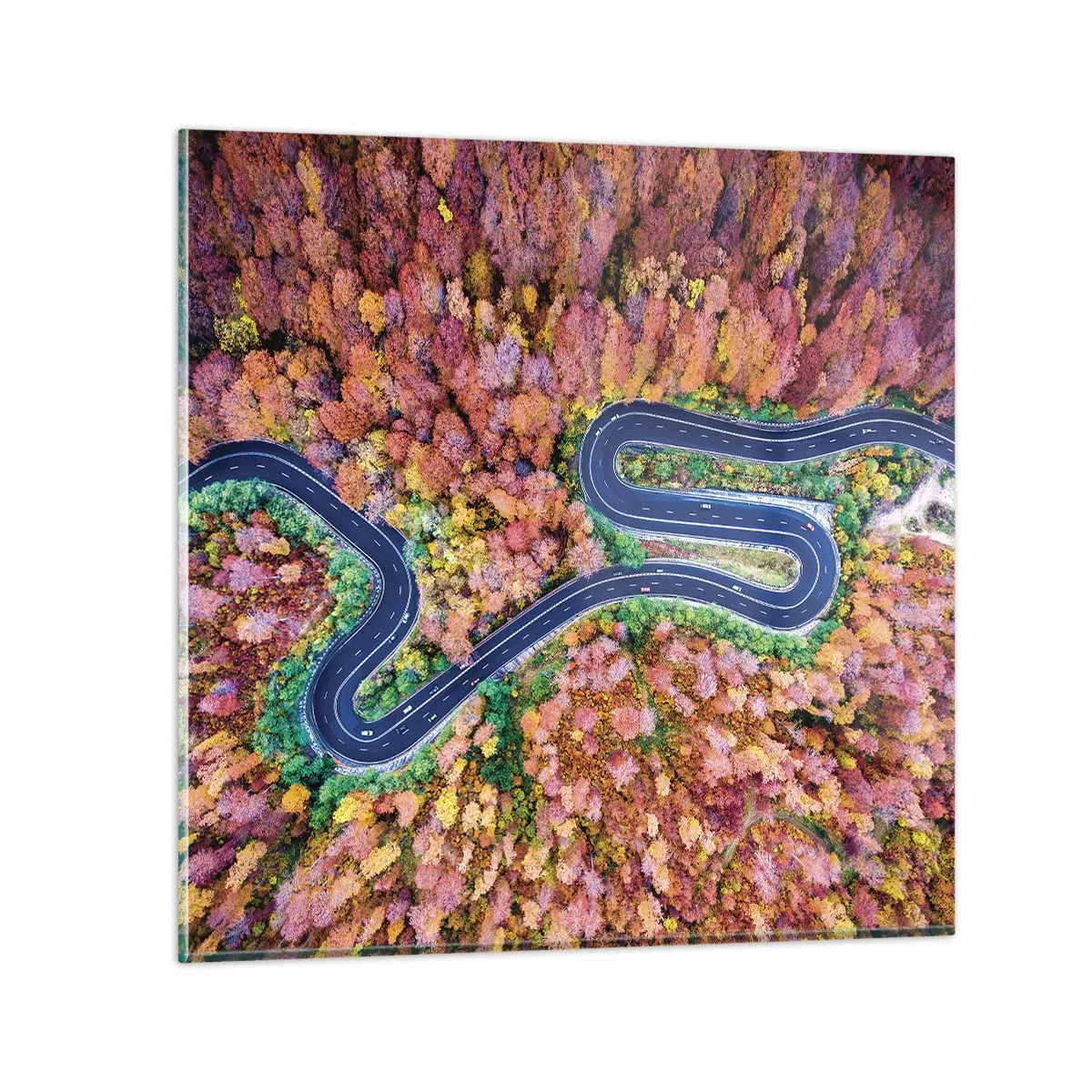 Quadro em vidro - Estrada sinuosa pela floresta - 50x50 cm