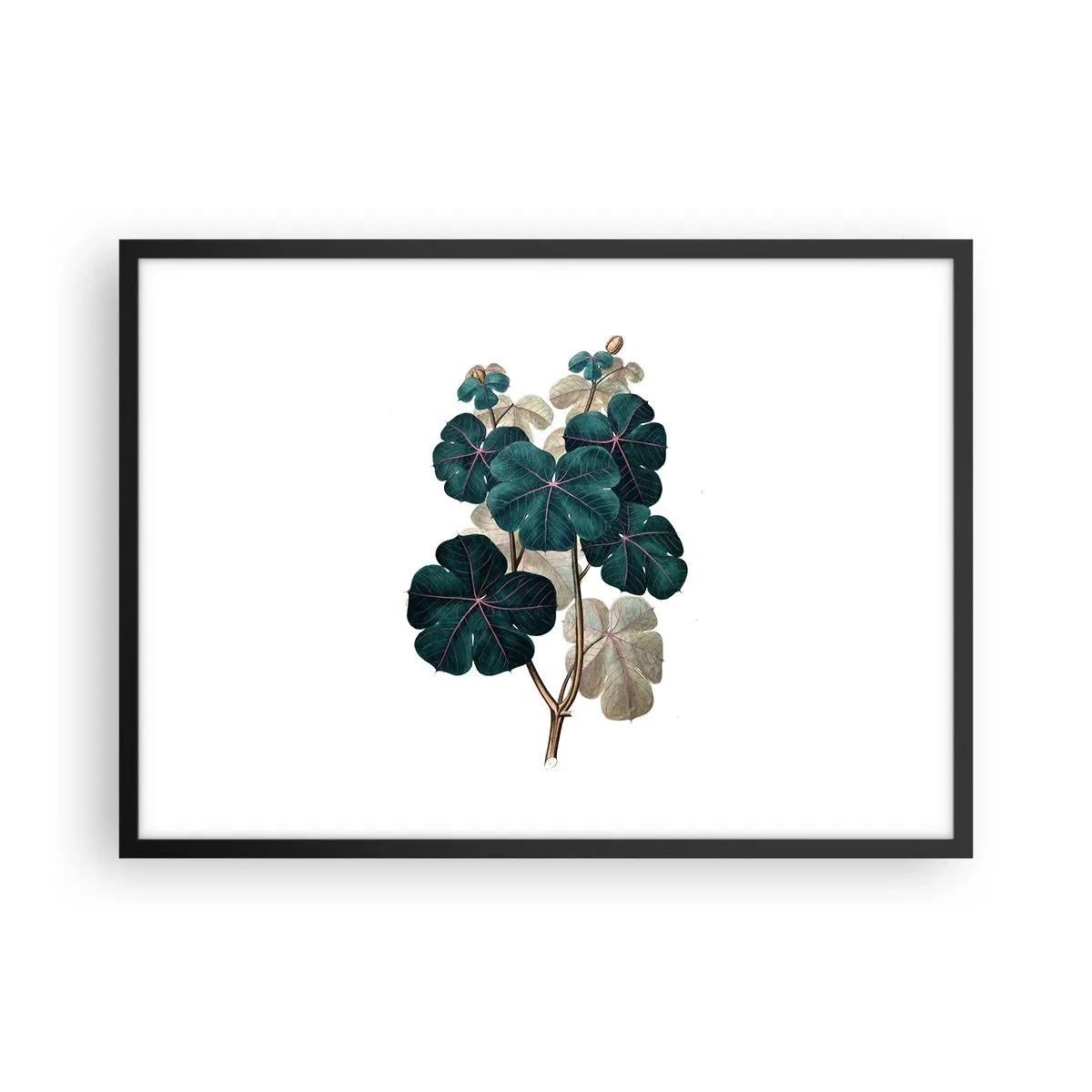 Pôster com moldura preta - Do antigo herbário - 70x50 cm