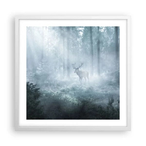 Pôster em moldura branca - Passeio matinal à volta da propriedade - 50x50 cm