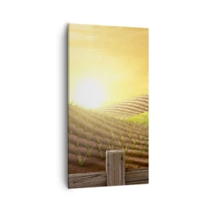 Quadro em tela - Uma fazenda como num conto de fadas - 55x100 cm