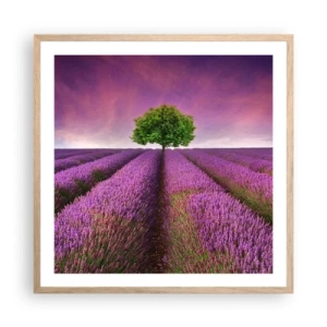 Pôster com moldura de carvalho claro - Nos campos de lavanda - 60x60 cm