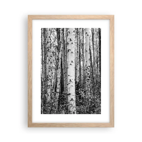 Pôster com moldura de carvalho claro - Colunata de bétula - 30x40 cm