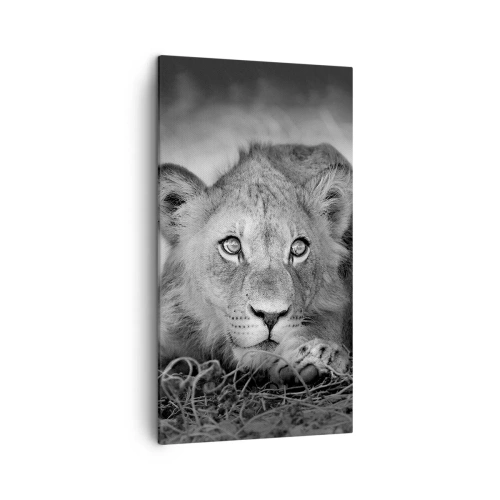 Quadro em tela - Cachorro real - 45x80 cm