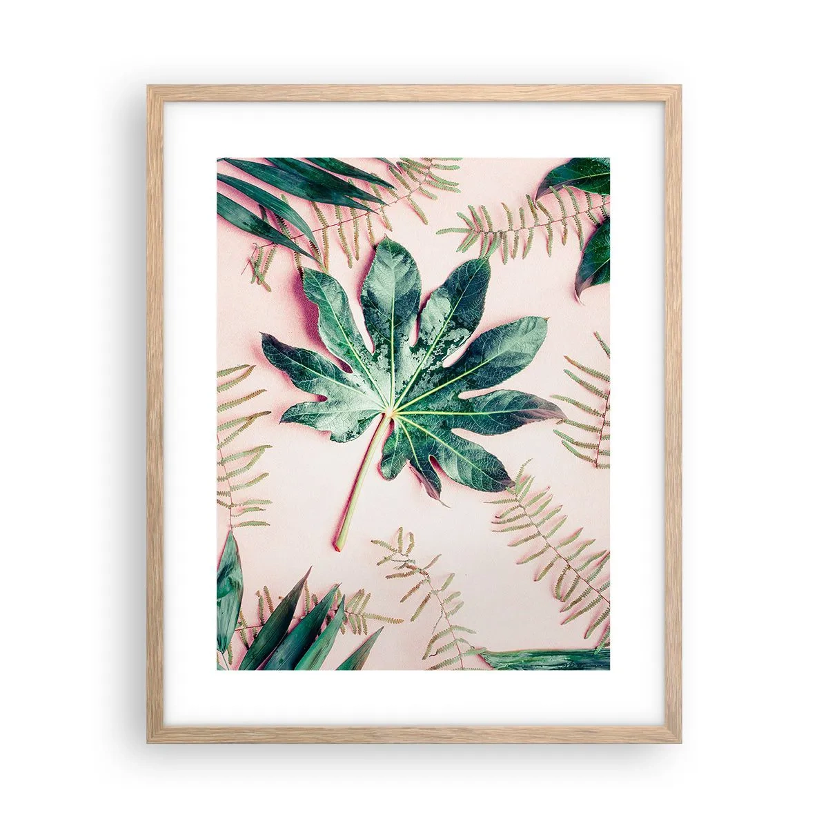 Pôster com moldura de carvalho claro - Estudo do verde em um fundo rosa - 40x50 cm