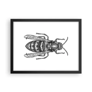 Pôster com moldura preta - De um planeta de insetos - 40x30 cm